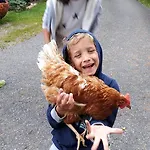 Farm stay Bio-bauernhof Hatzbauer Maria Alm am Steinernen Meer