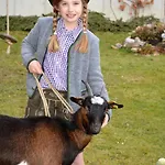 Bio-bauernhof Hatzbauer Farm stay Maria Alm am Steinernen Meer