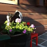 Bio-bauernhof Hatzbauer Farm stay