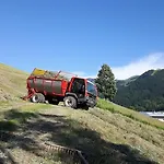 بيو-باويرنهوف هاتزباوير ماريا ألم ام شتاينر