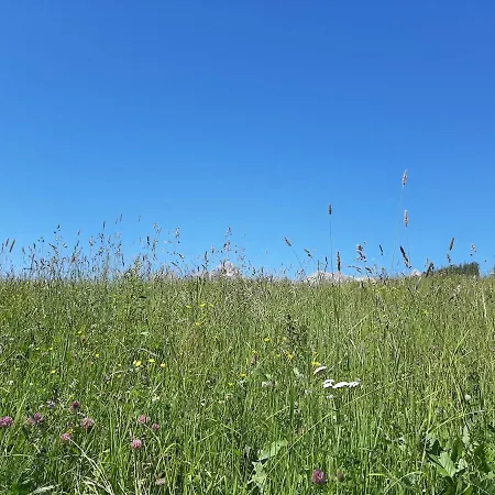 Bio-bauernhof Hatzbauer *