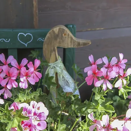 Bio-bauernhof Hatzbauer