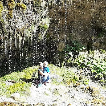 Farma Bio-bauernhof Hatzbauer