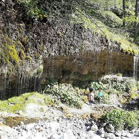 Bio-bauernhof Hatzbauer Farma