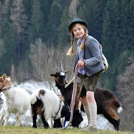 Bio-bauernhof Hatzbauer * Maria Alm am Steinernen Meer