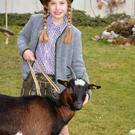 Bio-bauernhof Hatzbauer Farmház Maria Alm am Steinernen Meer