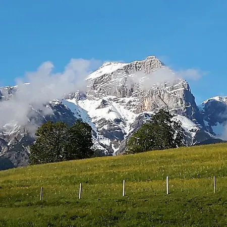 Bio-bauernhof Hatzbauer Мариа-Альм