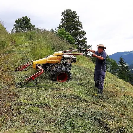 Bio-bauernhof Hatzbauer Farma *