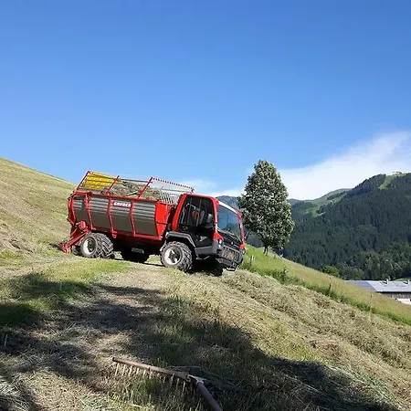 Bio-bauernhof Hatzbauer Maria Alm am Steinernen Meer